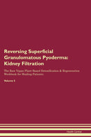Reversing Superficial Granulomatous Pyoderma: Kidney Filtration The Raw Vegan Plant-Based Detoxification & Regeneration Workbook for Healing Patients. Volume 5