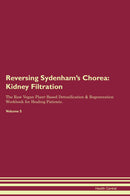 Reversing Sydenham's Chorea: Kidney Filtration The Raw Vegan Plant-Based Detoxification & Regeneration Workbook for Healing Patients. Volume 5