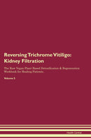 Reversing Trichrome Vitiligo: Kidney Filtration The Raw Vegan Plant-Based Detoxification & Regeneration Workbook for Healing Patients. Volume 5