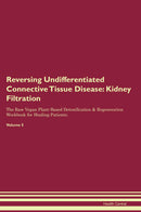 Reversing Undifferentiated Connective Tissue Disease: Kidney Filtration The Raw Vegan Plant-Based Detoxification & Regeneration Workbook for Healing Patients. Volume 5