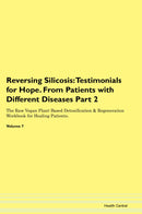 Reversing Silicosis: Testimonials for Hope. From Patients with Different Diseases Part 2 The Raw Vegan Plant-Based Detoxification & Regeneration Workbook for Healing Patients. Volume 7