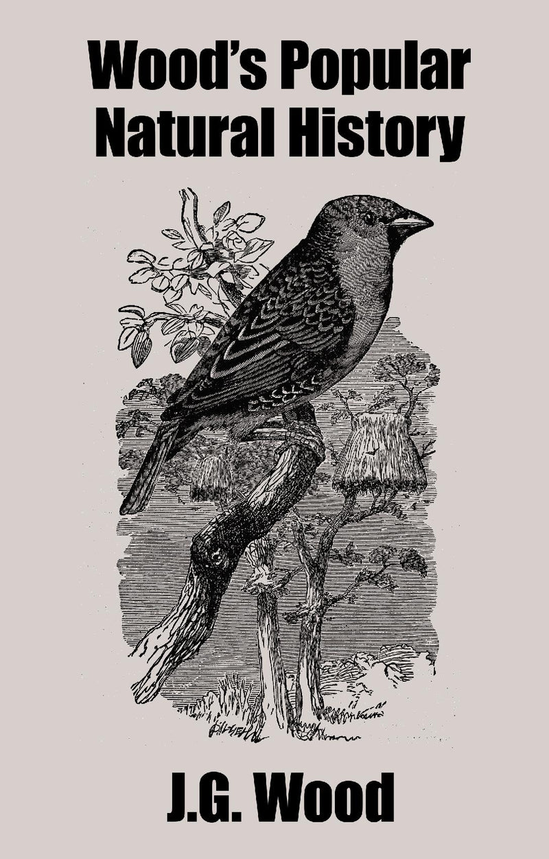 Wood's Popular Natural History