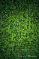 Crocodile Skin Workbook of Affirmations Crocodile Skin Workbook of Affirmations: Bullet Journal, Food Diary, Recipe Notebook, Planner, To Do List, Scrapbook, Academic Notepad