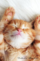 Cute Sleeping Kitten Workbook of Affirmations Cute Sleeping Kitten Workbook of Affirmations: Bullet Journal, Food Diary, Recipe Notebook, Planner, To Do List, Scrapbook, Academic Notepad