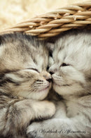 Cute Tabby Kittens Workbook of Affirmations Cute Tabby Kittens Workbook of Affirmations: Bullet Journal, Food Diary, Recipe Notebook, Planner, To Do List, Scrapbook, Academic Notepad