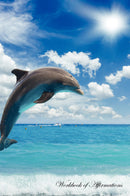 Dolphin Workbook of Affirmations Dolphin Workbook of Affirmations: Bullet Journal, Food Diary, Recipe Notebook, Planner, To Do List, Scrapbook, Academic Notepad