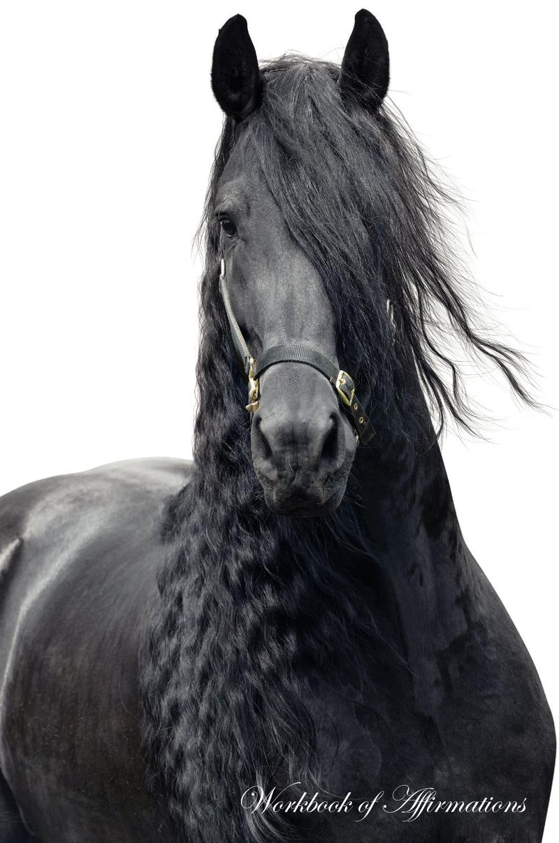 Fresian Horse Stallion Workbook of Affirmations Fresian Horse Stallion Workbook of Affirmations: Bullet Journal, Food Diary, Recipe Notebook, Planner, To Do List, Scrapbook, Academic Notepad