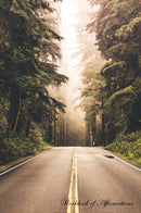 Northern California Redwood Highway Workbook of Affirmations Northern California Redwood Highway Workbook of Affirmations: Bullet Journal, Food Diary, Recipe Notebook, Planner, To Do List, Scrapbook, Academic Notepad