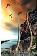 Omeisaurus Dinosaurs Workbook of Affirmations Omeisaurus Dinosaurs Workbook of Affirmations: Bullet Journal, Food Diary, Recipe Notebook, Planner, To Do List, Scrapbook, Academic Notepad