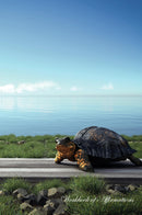 Road Turtle Workbook of Affirmations Road Turtle Workbook of Affirmations: Bullet Journal, Food Diary, Recipe Notebook, Planner, To Do List, Scrapbook, Academic Notepad