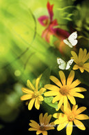 Summer Workbook of Affirmations Summer Workbook of Affirmations: Bullet Journal, Food Diary, Recipe Notebook, Planner, To Do List, Scrapbook, Academic Notepad