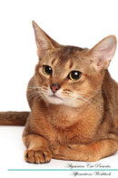 Abyssinian Cat Affirmations Workbook Abyssinian Cat Presents: Positive and Loving Affirmations Workbook. Includes: Mentoring Questions, Guidance, Supporting You.