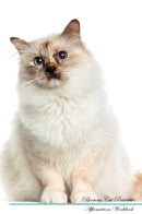 Birman Cat Affirmations Workbook Birman Cat Presents: Positive and Loving Affirmations Workbook. Includes: Mentoring Questions, Guidance, Supporting You.