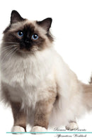 Birman Cat Affirmations Workbook Birman Cat Presents: Positive and Loving Affirmations Workbook. Includes: Mentoring Questions, Guidance, Supporting You.