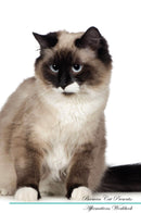 Birman Cat Affirmations Workbook Birman Cat Presents: Positive and Loving Affirmations Workbook. Includes: Mentoring Questions, Guidance, Supporting You.