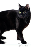 Bombay Cat Affirmations Workbook Bombay Cat Presents: Positive and Loving Affirmations Workbook. Includes: Mentoring Questions, Guidance, Supporting You.