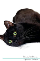Bombay Cat Affirmations Workbook Bombay Cat Presents: Positive and Loving Affirmations Workbook. Includes: Mentoring Questions, Guidance, Supporting You.