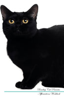 Bombay Cat Affirmations Workbook Bombay Cat Presents: Positive and Loving Affirmations Workbook. Includes: Mentoring Questions, Guidance, Supporting You.