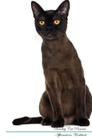 Bombay Cat Affirmations Workbook Bombay Cat Presents: Positive and Loving Affirmations Workbook. Includes: Mentoring Questions, Guidance, Supporting You.