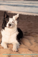 Border Collie Affirmations Workbook Border Collie Presents: Positive and Loving Affirmations Workbook. Includes: Mentoring Questions, Guidance, Supporting You.