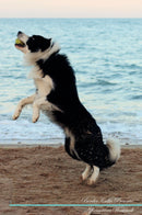 Border Collie Affirmations Workbook Border Collie Presents: Positive and Loving Affirmations Workbook. Includes: Mentoring Questions, Guidance, Supporting You.