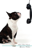 Boston Terrier Affirmations Workbook Boston Terrier Presents: Positive and Loving Affirmations Workbook. Includes: Mentoring Questions, Guidance, Supporting You.