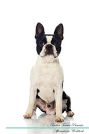 Boston Terrier Affirmations Workbook Boston Terrier Presents: Positive and Loving Affirmations Workbook. Includes: Mentoring Questions, Guidance, Supporting You.