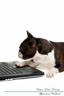 Boston Terrier Affirmations Workbook Boston Terrier Presents: Positive and Loving Affirmations Workbook. Includes: Mentoring Questions, Guidance, Supporting You.