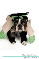 Boston Terrier Affirmations Workbook Boston Terrier Presents: Positive and Loving Affirmations Workbook. Includes: Mentoring Questions, Guidance, Supporting You.