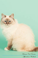 Birman Cat Affirmations Workbook Birman Cat Presents: Positive and Loving Affirmations Workbook. Includes: Mentoring Questions, Guidance, Supporting You.