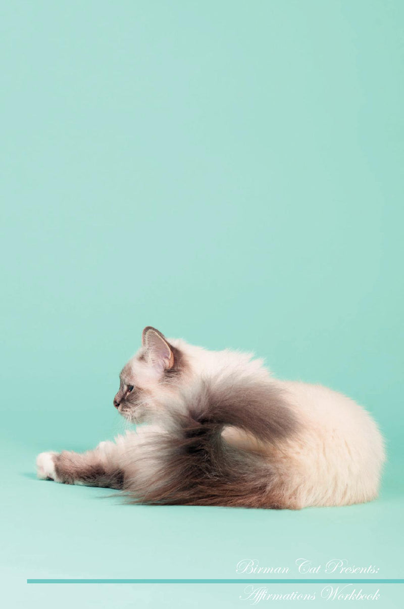 Birman Cat Affirmations Workbook Birman Cat Presents: Positive and Loving Affirmations Workbook. Includes: Mentoring Questions, Guidance, Supporting You.
