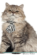 British Longhair Cat Affirmations Workbook British Longhair Cat Presents: Positive and Loving Affirmations Workbook. Includes: Mentoring Questions, Guidance, Supporting You.