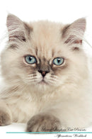 British Longhair Cat Affirmations Workbook British Longhair Cat Presents: Positive and Loving Affirmations Workbook. Includes: Mentoring Questions, Guidance, Supporting You.