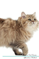 British Longhair Cat Affirmations Workbook British Longhair Cat Presents: Positive and Loving Affirmations Workbook. Includes: Mentoring Questions, Guidance, Supporting You.