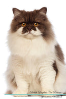 British Longhair Cat Affirmations Workbook British Longhair Cat Presents: Positive and Loving Affirmations Workbook. Includes: Mentoring Questions, Guidance, Supporting You.