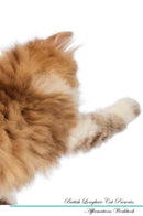 British Longhair Cat Affirmations Workbook British Longhair Cat Presents: Positive and Loving Affirmations Workbook. Includes: Mentoring Questions, Guidance, Supporting You.