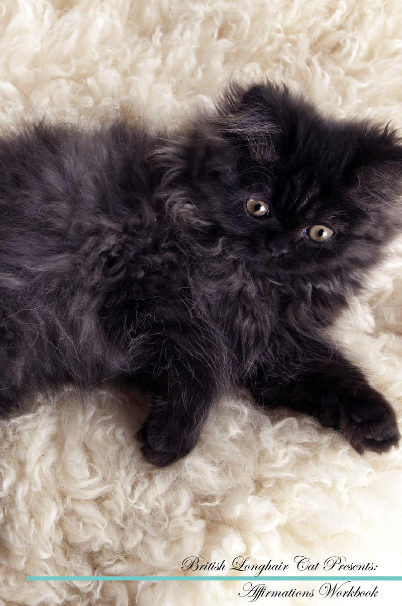 British Longhair Cat Affirmations Workbook British Longhair Cat Presents: Positive and Loving Affirmations Workbook. Includes: Mentoring Questions, Guidance, Supporting You.