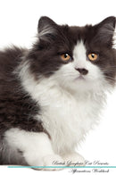 British Longhair Cat Affirmations Workbook British Longhair Cat Presents: Positive and Loving Affirmations Workbook. Includes: Mentoring Questions, Guidance, Supporting You.