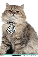 British Longhair Cat Affirmations Workbook British Longhair Cat Presents: Positive and Loving Affirmations Workbook. Includes: Mentoring Questions, Guidance, Supporting You.