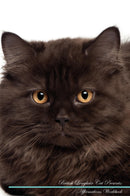 British Longhair Cat Affirmations Workbook British Longhair Cat Presents: Positive and Loving Affirmations Workbook. Includes: Mentoring Questions, Guidance, Supporting You.