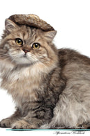 British Longhair Cat Affirmations Workbook British Longhair Cat Presents: Positive and Loving Affirmations Workbook. Includes: Mentoring Questions, Guidance, Supporting You.