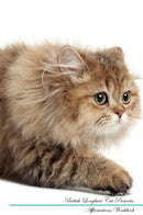 British Longhair Cat Affirmations Workbook British Longhair Cat Presents: Positive and Loving Affirmations Workbook. Includes: Mentoring Questions, Guidance, Supporting You.