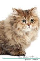 British Longhair Cat Affirmations Workbook British Longhair Cat Presents: Positive and Loving Affirmations Workbook. Includes: Mentoring Questions, Guidance, Supporting You.