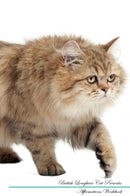 British Longhair Cat Affirmations Workbook British Longhair Cat Presents: Positive and Loving Affirmations Workbook. Includes: Mentoring Questions, Guidance, Supporting You.