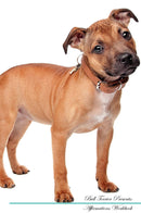 Bull Terrier Affirmations Workbook Bull Terrier Presents: Positive and Loving Affirmations Workbook. Includes: Mentoring Questions, Guidance, Supporting You.