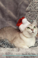 Burmilla Cat Affirmations Workbook Burmilla Cat Presents: Positive and Loving Affirmations Workbook. Includes: Mentoring Questions, Guidance, Supporting You.