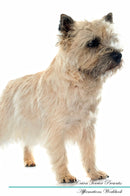 Cairn Terrier Affirmations Workbook Cairn Terrier Presents: Positive and Loving Affirmations Workbook. Includes: Mentoring Questions, Guidance, Supporting You.