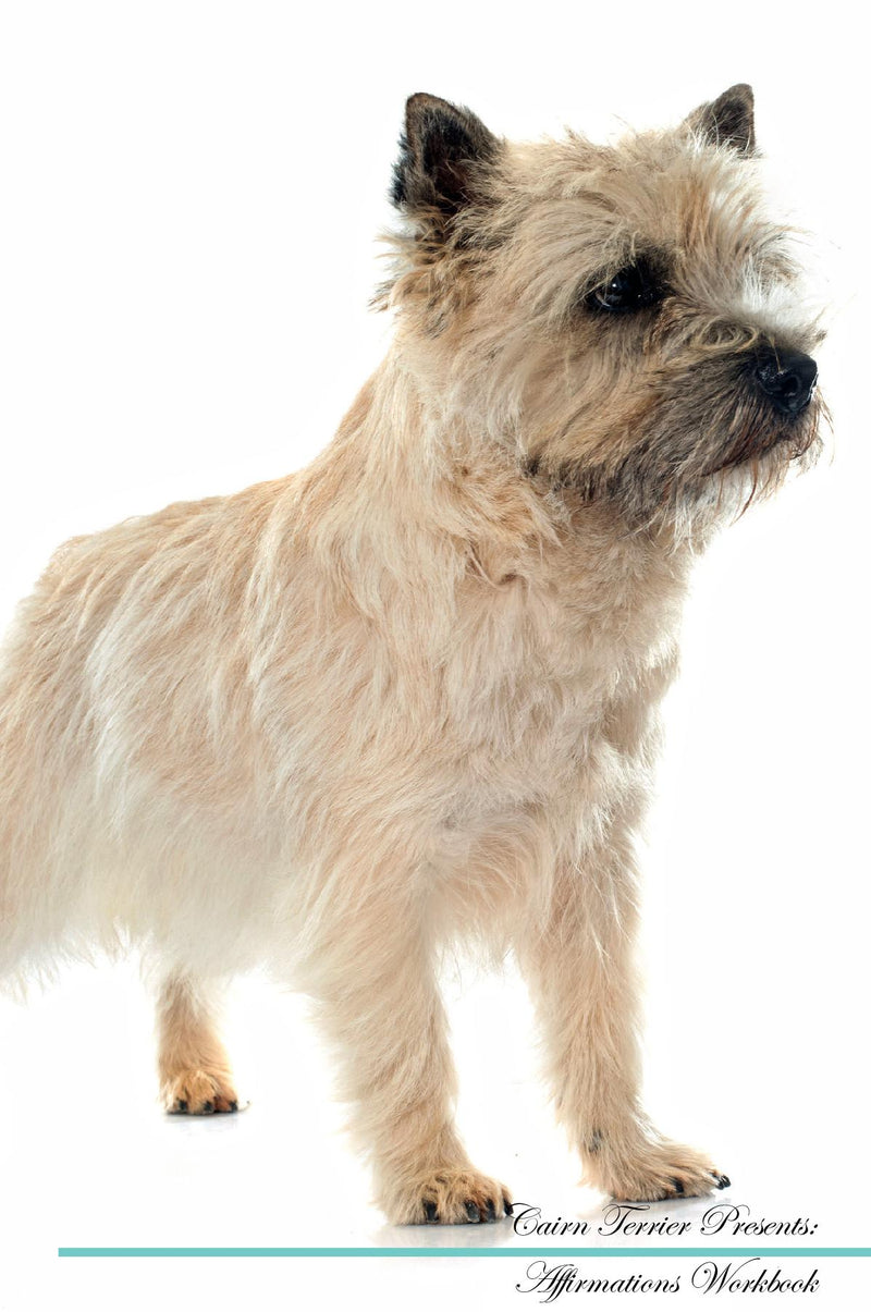 Cairn Terrier Affirmations Workbook Cairn Terrier Presents: Positive and Loving Affirmations Workbook. Includes: Mentoring Questions, Guidance, Supporting You.