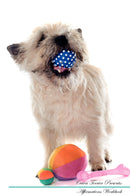 Cairn Terrier Affirmations Workbook Cairn Terrier Presents: Positive and Loving Affirmations Workbook. Includes: Mentoring Questions, Guidance, Supporting You.