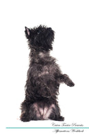 Cairn Terrier Affirmations Workbook Cairn Terrier Presents: Positive and Loving Affirmations Workbook. Includes: Mentoring Questions, Guidance, Supporting You.